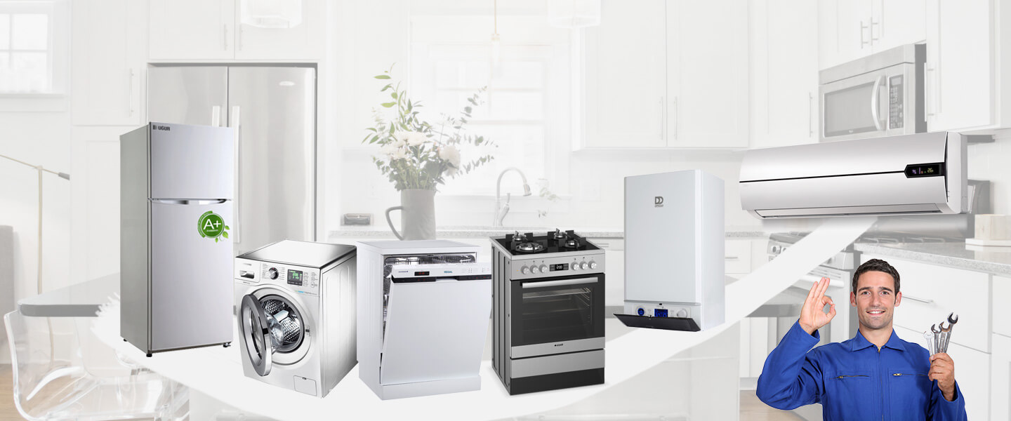 Bayraklı Electrolux Servisi